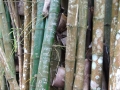 2013-10_CubaActive_A_ (157)